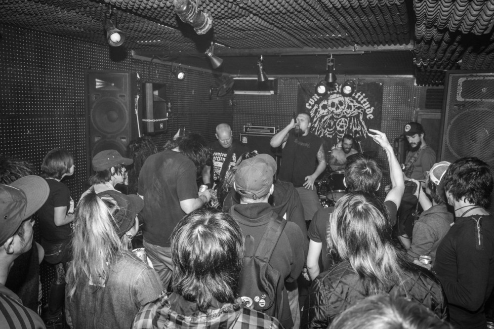 dark horse live 1