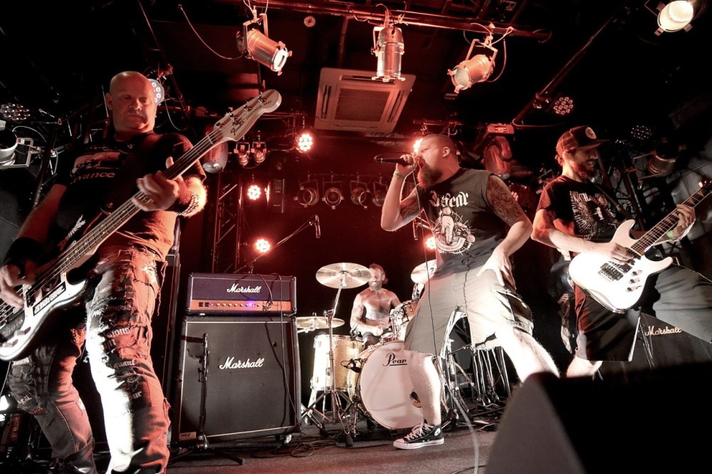 Dark Horse live 2
