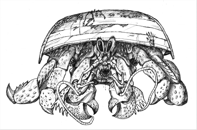 beneath the missing sea crab